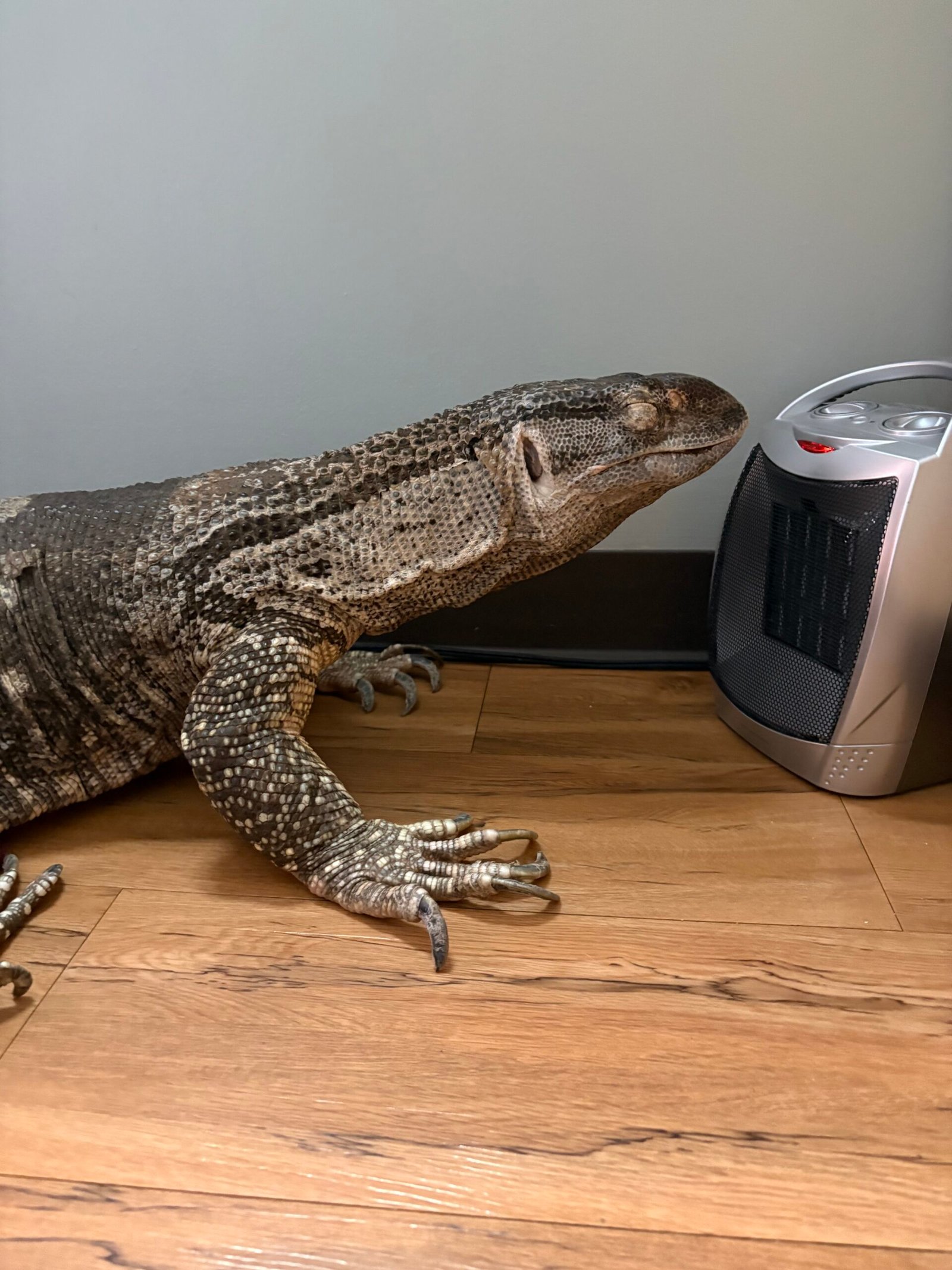 IMG_1462